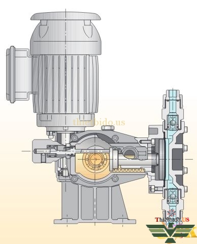 Thông số kích thước của bơm OBL MP11P